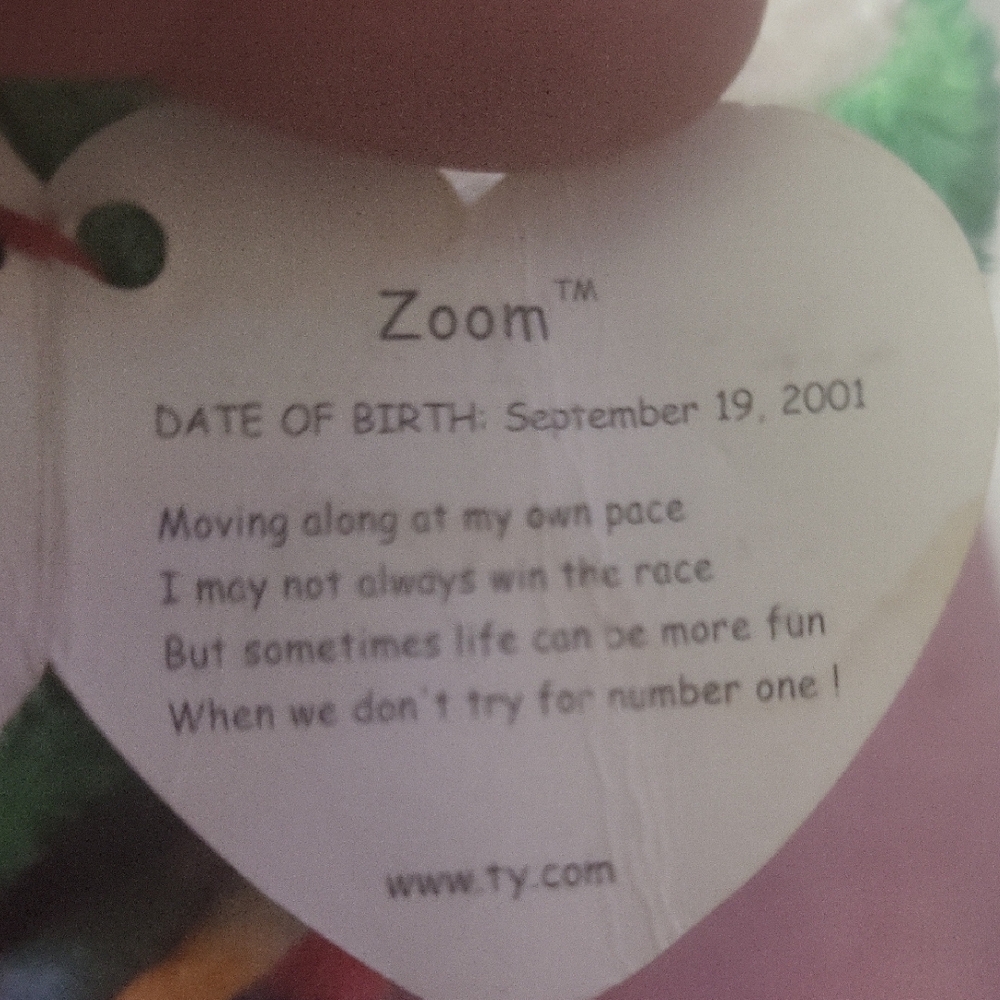 Ty "Zoom"Turtle - Picture 2 of 3